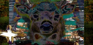 Deer Messenger 3 mixed media collage composite