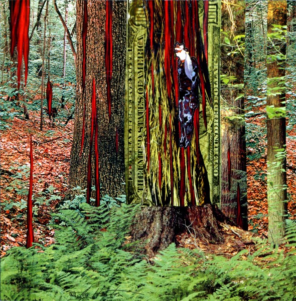 trees-soil-ecology