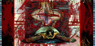 Turtle VeVe