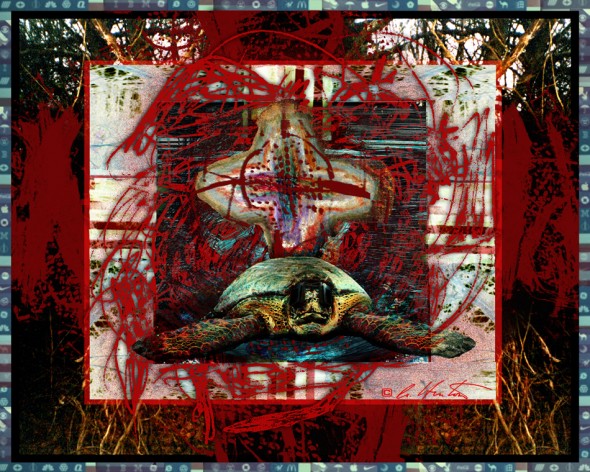 Turtle VeVe