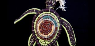 "Coiled Turtle Eating Jelly Fish"