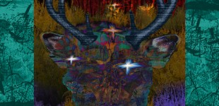 Deer Messenger 10