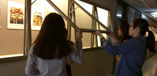 2015-Hinton-CAA-Residency-Display-7