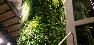 CSU-Environmental-Campus-Indoor-Plant-2015
