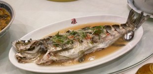 Hinton-CAA-Residency-Banquet-Fish