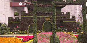 Plant-Pagoda-Pose