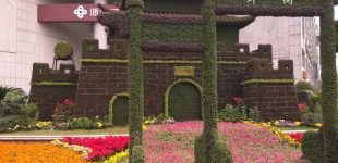 Alyssa-Hinton-Plant-Pagoda-1