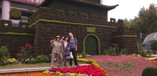 Alyssa-Hinton-Plant-Pagoda-11