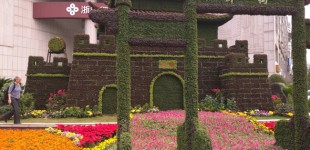 Alyssa-Hinton-Plant-Pagoda-2