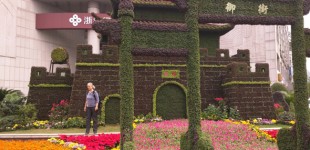 Alyssa-Hinton-Plant-Pagoda-3