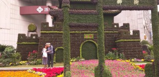 Alyssa-Hinton-Plant-Pagoda-5