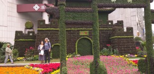 Alyssa-Hinton-Plant-Pagoda-6