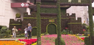 Alyssa-Hinton-Plant-Pagoda-7