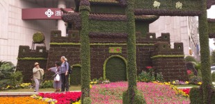 Alyssa-Hinton-Plant-Pagoda-8