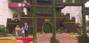 Alyssa-Hinton-Plant-Pagoda-9