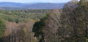Alyssa-Hinton-ECCR-Putney-Monadnock-2017-4