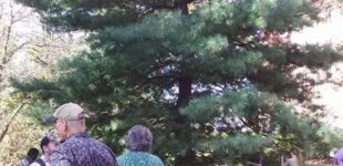 Alyssa-Hinton-WVU-Native-Studies-Peace-Tree-Ceremony-6