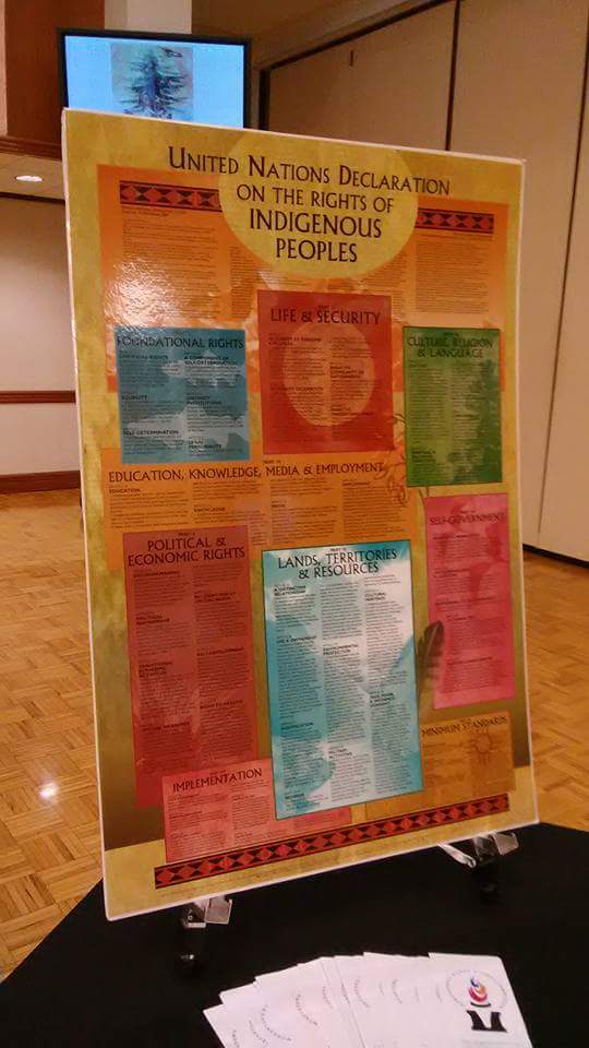 Poster-United Nations Declaration on the Rights of Indigenous Peoples