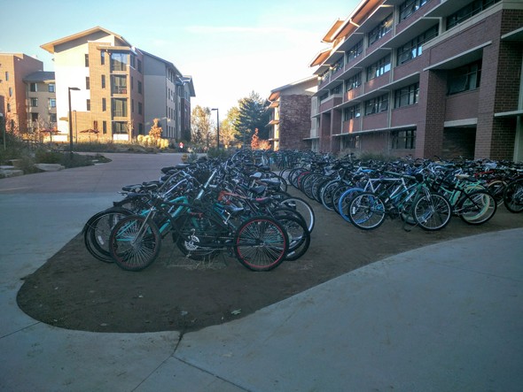 Bikes at CSU, across from my living accommodations