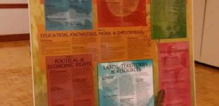 Poster-United Nations Declaration on the Rights of Indigenous Peoples